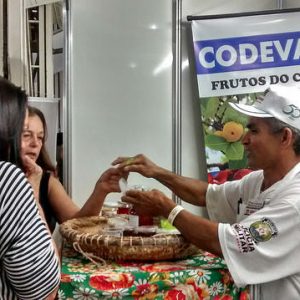 Codevasf apoia beneficiamento de frutos do cerrado no Norte de Minas