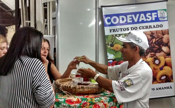 Codevasf apoia beneficiamento de frutos do cerrado no Norte de Minas