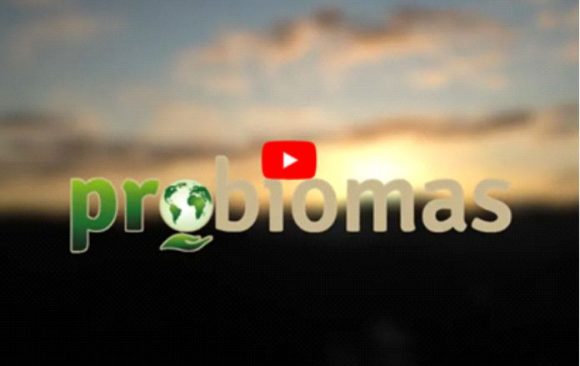 PROBIOMAS – Protegendo os Biomas Brasileiros