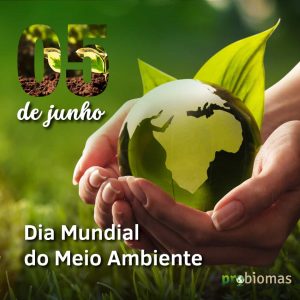 05  de  Junho  Dia  Mundial   do  Meio  Ambiente